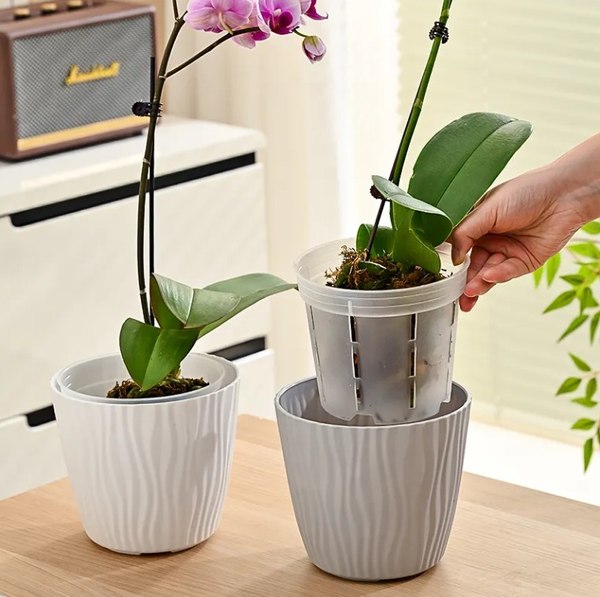 Вазон BOTANICA для орхидей с боковыми прорезями 18x15см (прозрачный)