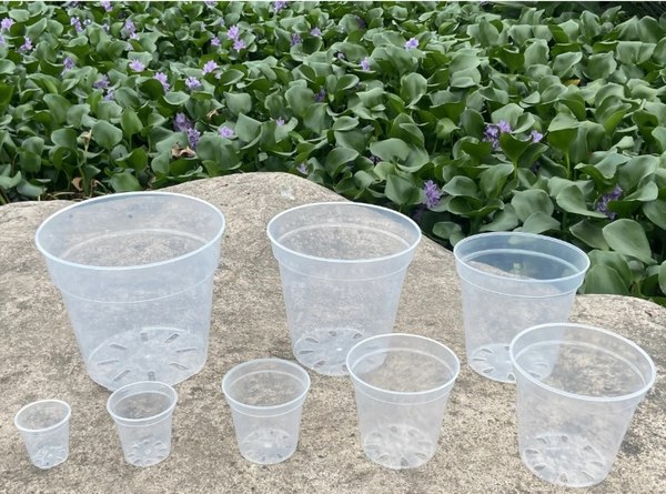 Вазон BOTANICA Clear дренажный 19x18см (прозрачный)