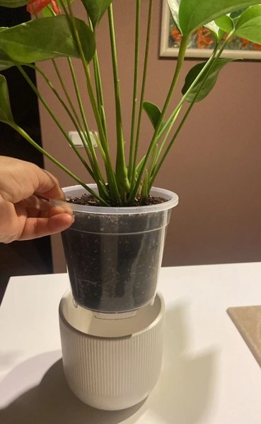 Вазон BOTANICA Clear дренажный 19x18см (прозрачный)