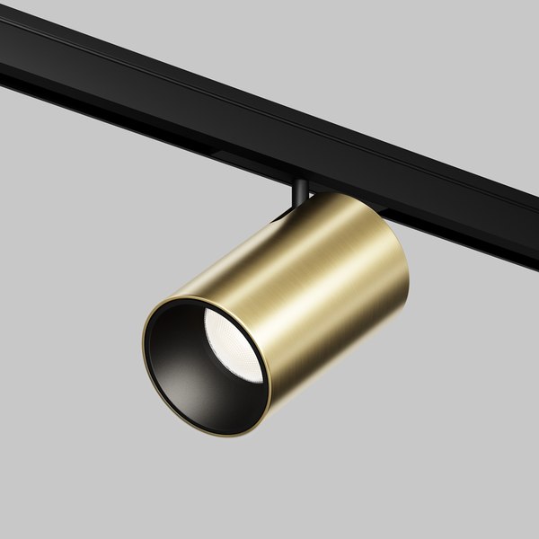 Трековый светильник Maytoni Focus Led Levity TR187-1-5W4K-M-BBS