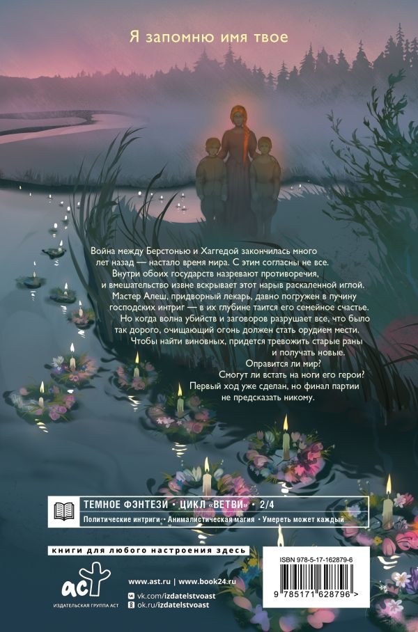 Художественная книга АСТ Близнецы. Том 1, твердая обложка (Чернышова Дарья) — фото 2