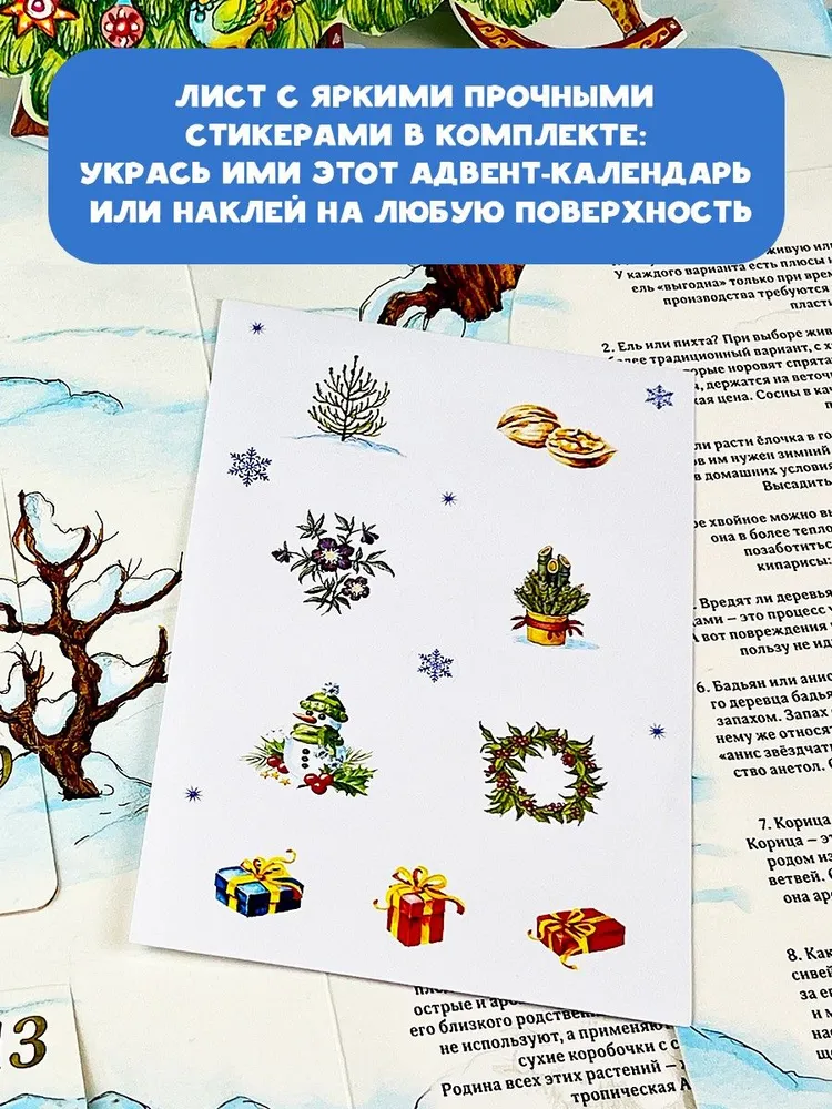 Книга адвент-календарь АСТ Адвент-календарь. Новогодняя ботаника: прогулка по зимнему лесу (Дудова Ксения) — фото 3