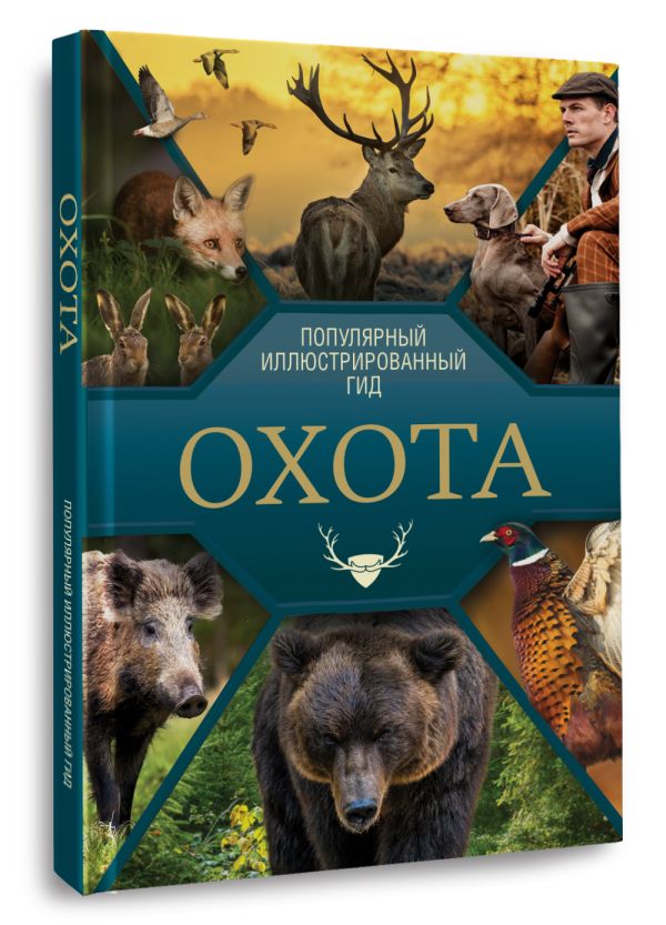 Книга АСТ Ответы мудрой совы — фото 2