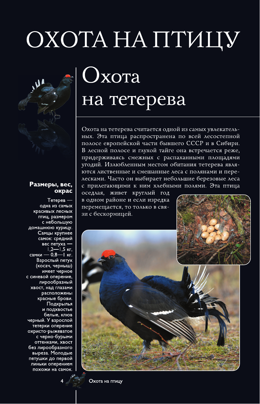 Книга АСТ Ответы мудрой совы — фото 4