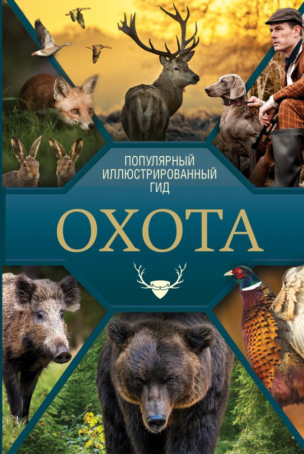 Книга АСТ Ответы мудрой совы — фото 1