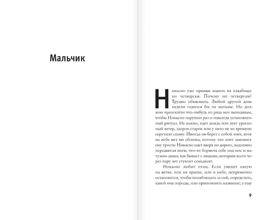 Художественная книга АСТ Мальчик, твердая обложка (Арамбуру Фернандо) — фото 4