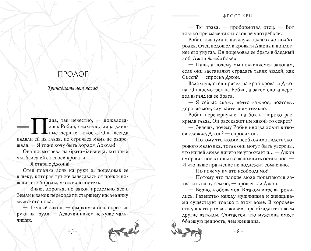 Художественная книга FreeDom Разбойница, твердая обложка (Кей Фрост) — фото 4