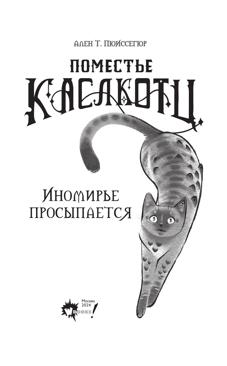 Художественная книга АСТ Поместье Каслкотц. Иномирье просыпается, твердая обложка (Пюиссегюр Ален) — фото 5
