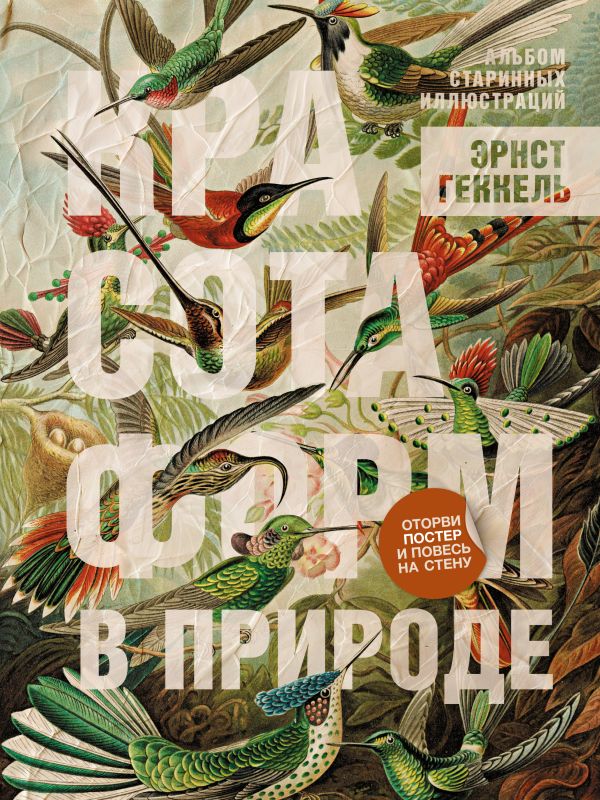 Книга АСТ Красота форм в природе. Альбом старинных иллюстраций (Геккель Эрнст, мягкая обложка)