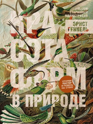 

Книга, Красота форм в природе. Альбом старинных иллюстраций