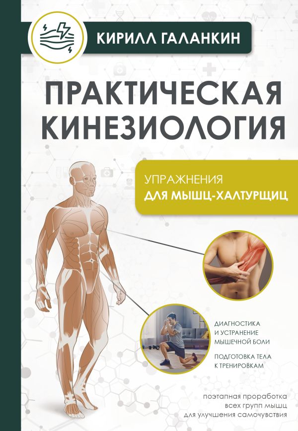 Книга АСТ Практическая кинезиология. Упражнения для мышц-халтурщиц (Галанкин Кирилл, мягкая обложка)