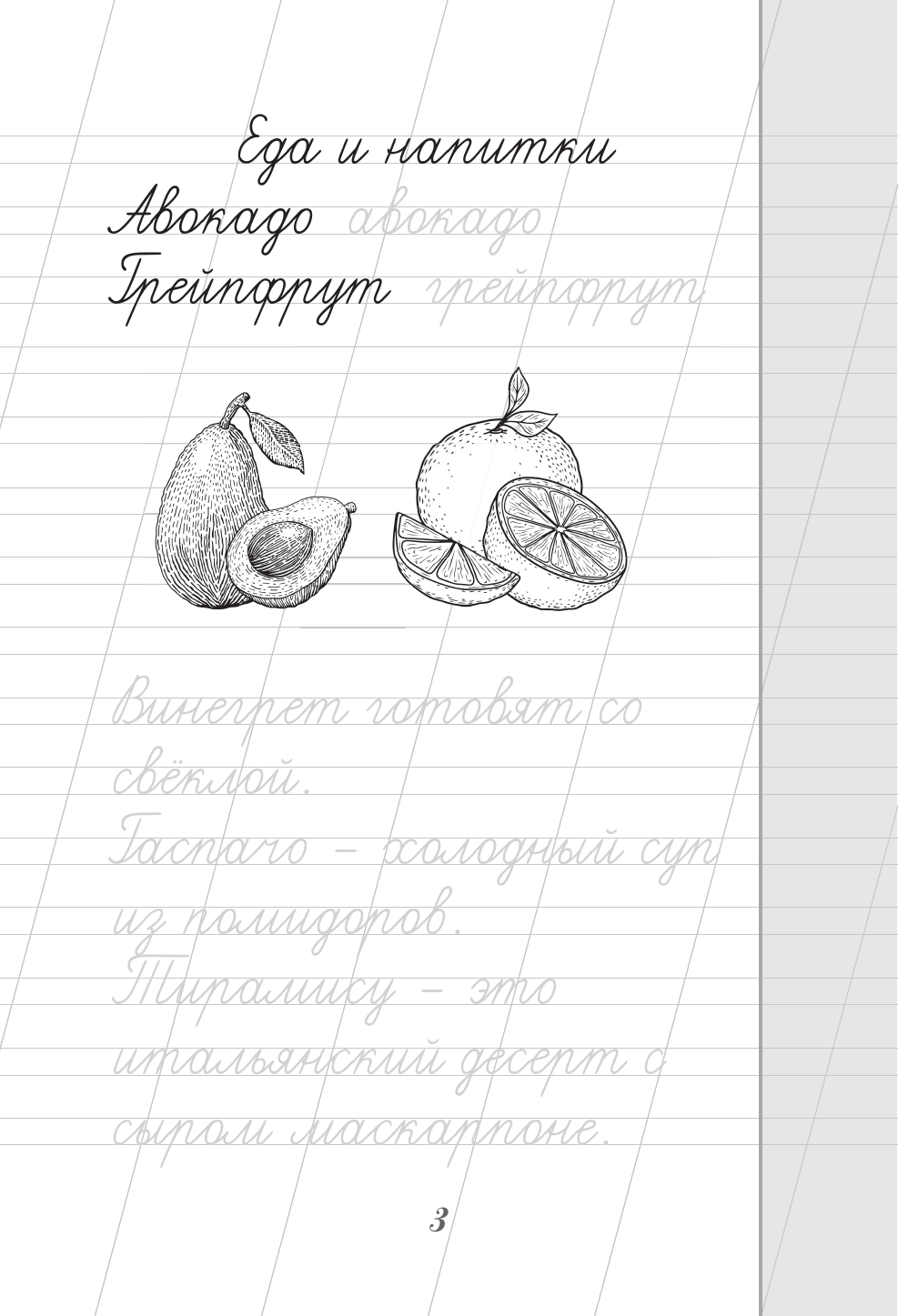 Пропись АСТ Русский язык. Пишем красиво слова-заимствования, мягкая обложка — фото 4
