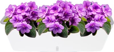Кашпо BOTANICA С автополивом 43.5x15x15 - 