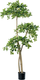 Искусственное растение GreenPark Шеффлера древовидная Арборикола / GP-057/180 - 