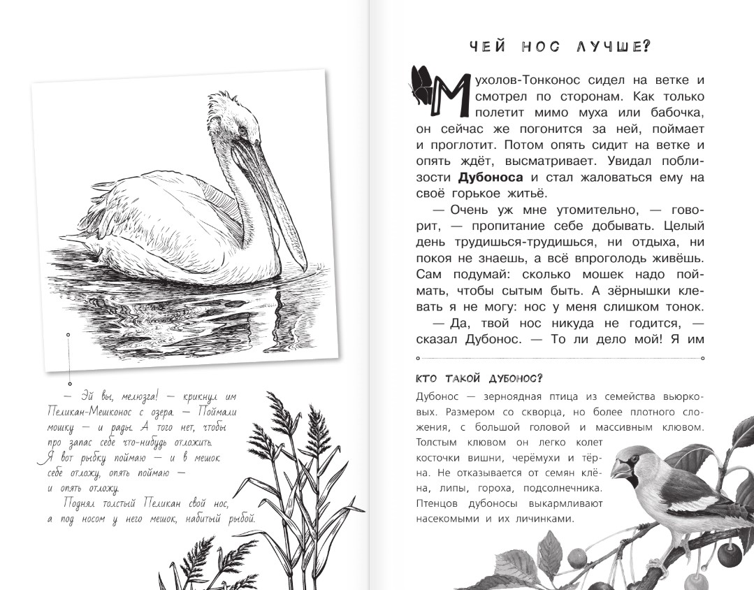 Художественная книга АСТ Синичкин календарь, твердая обложка (Бианки Виталий) — фото 3