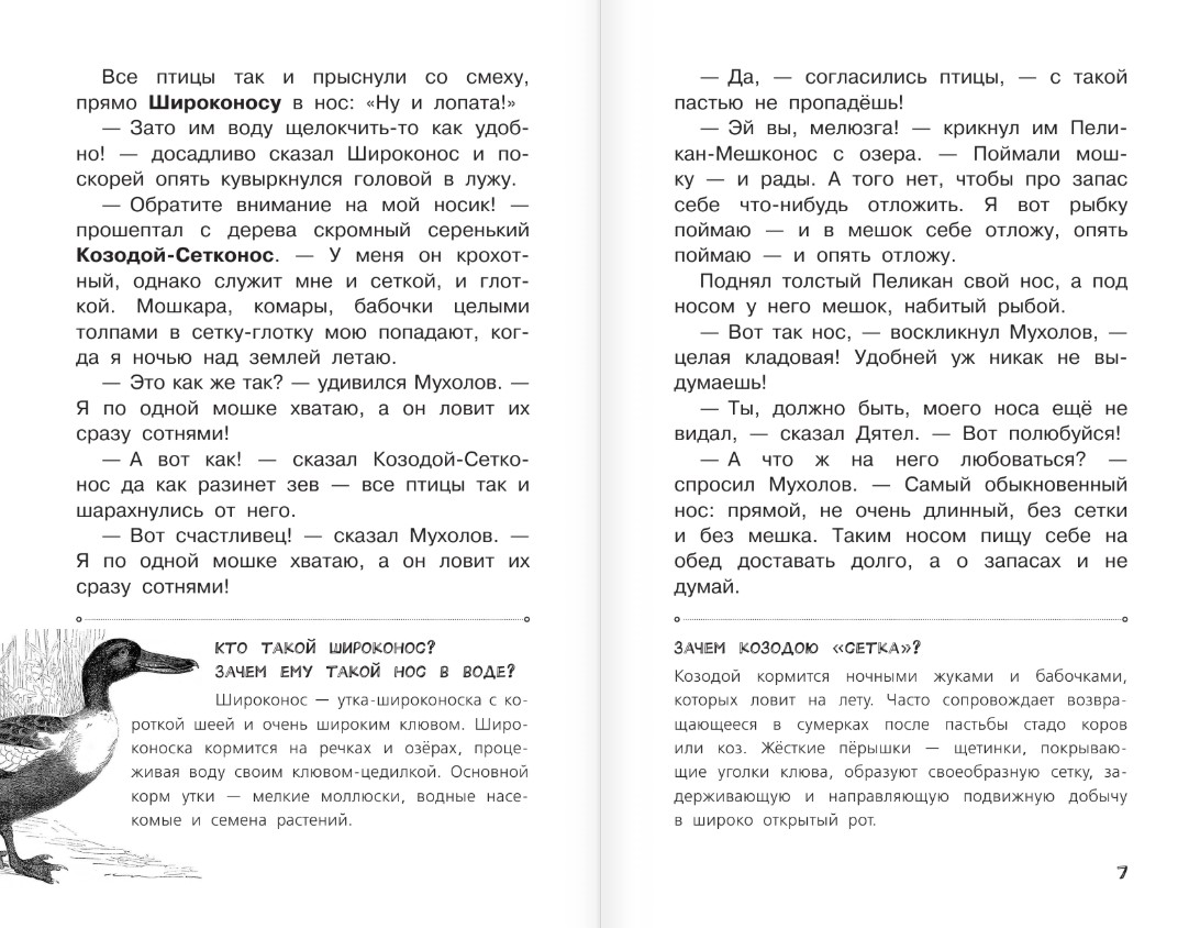 Художественная книга АСТ Синичкин календарь, твердая обложка (Бианки Виталий) — фото 5