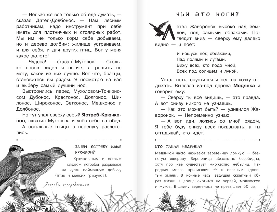 Художественная книга АСТ Синичкин календарь, твердая обложка (Бианки Виталий) — фото 6