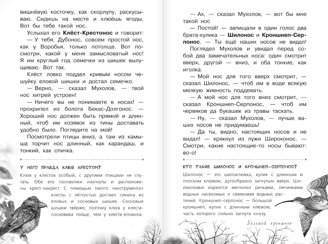 Художественная книга АСТ Синичкин календарь, твердая обложка (Бианки Виталий) — фото 4