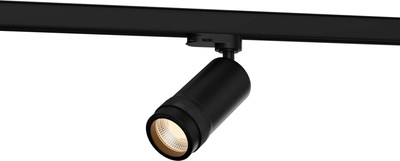 

Трековый светильник, Zoom ST691.436.10