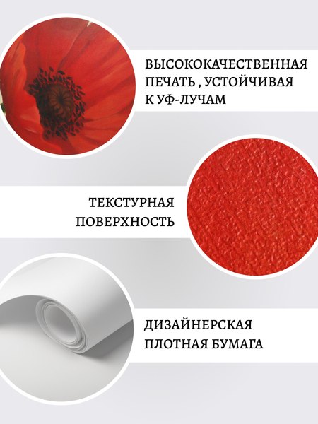 Постеры Декарт 8П0023