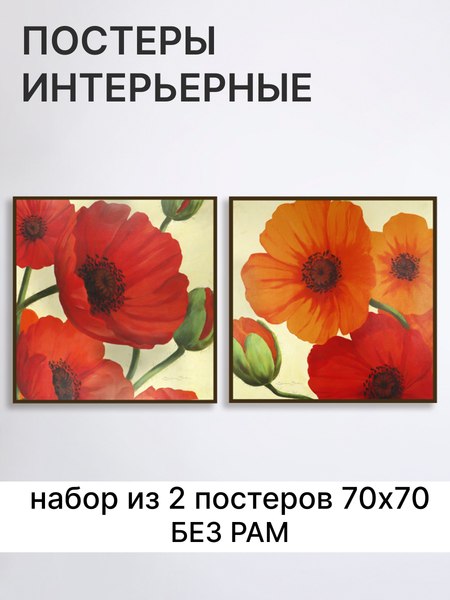 Постеры Декарт 8П0023