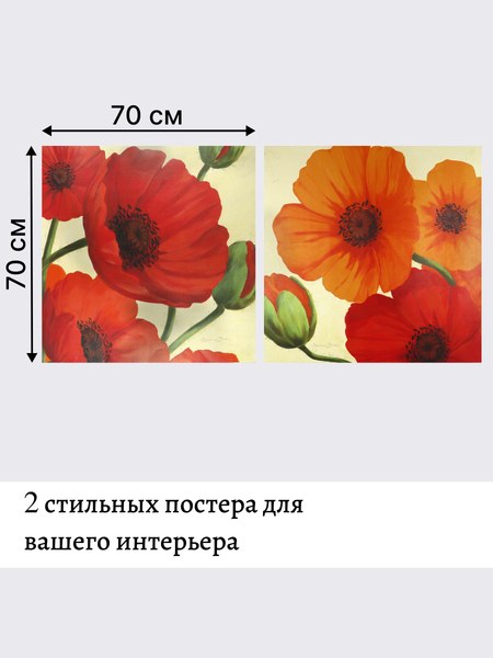 Постеры Декарт 8П0023