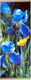 Картина по номерам Флюид Ирисы 35x88 / HRP0129 - 