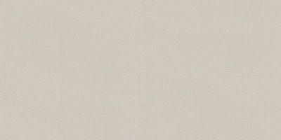 Виниловые обои Rasch 981179 - 