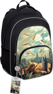 

Школьный рюкзак, ErgoLine 17L Big City Cats / 62812