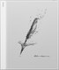 Электронная книга Onyx Note Max - 