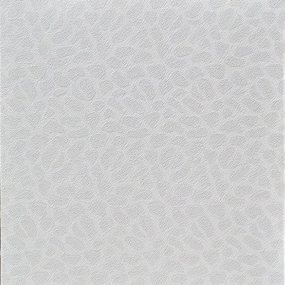 

Стеклообои, Decor Камушки / WD860