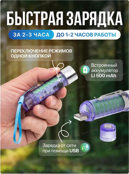 Фонарь Forsage F-CAM590 (60097)