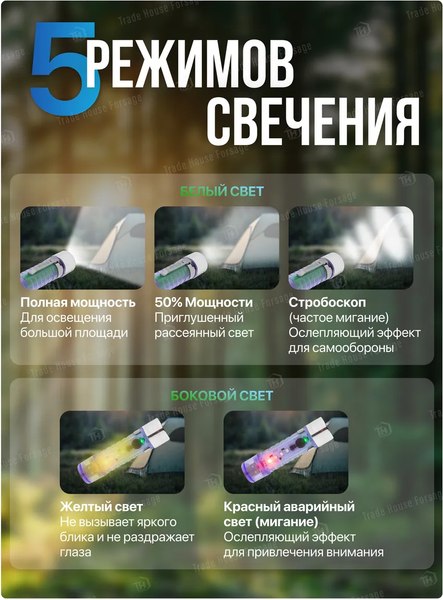 Фонарь Forsage F-CAM590 (60097)