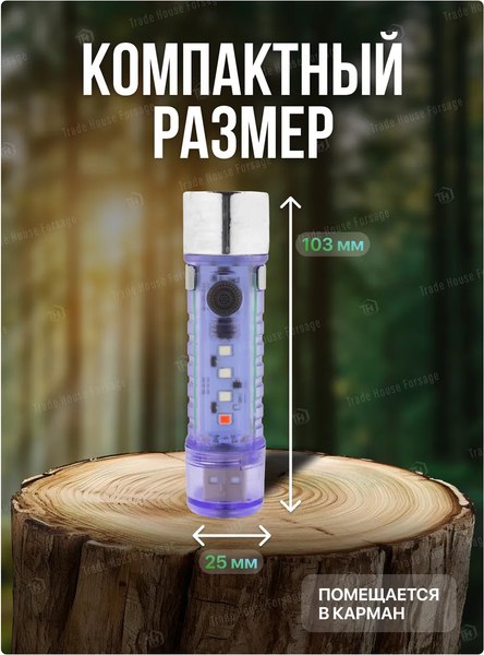 Фонарь Forsage F-CAM590 (60097)