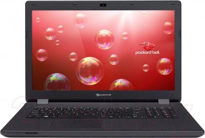 Ноутбук Packard Bell ENLG71BM-P524 (NX.C3WEU.002) - общий вид