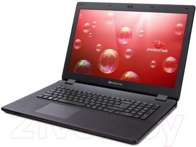 Ноутбук Packard Bell ENLG71BM-P524 (NX.C3WEU.002) - вполоборота