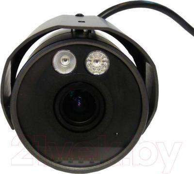 IP-камера AVTech AVM359 - вид спереди