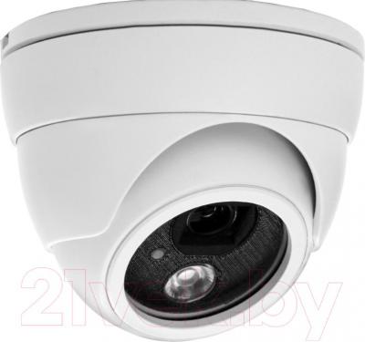 IP-камера AVTech AVN320P - общий вид