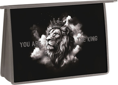 Папка для труда ArtSpace King / ПТР22_PH0001 - 