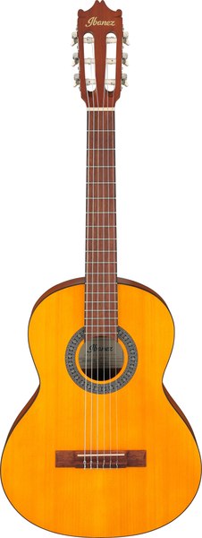Акустическая гитара Ibanez GA2-OAM
