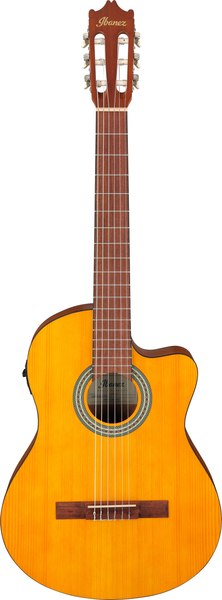 Электроакустическая гитара Ibanez GA3ECE-OAM
