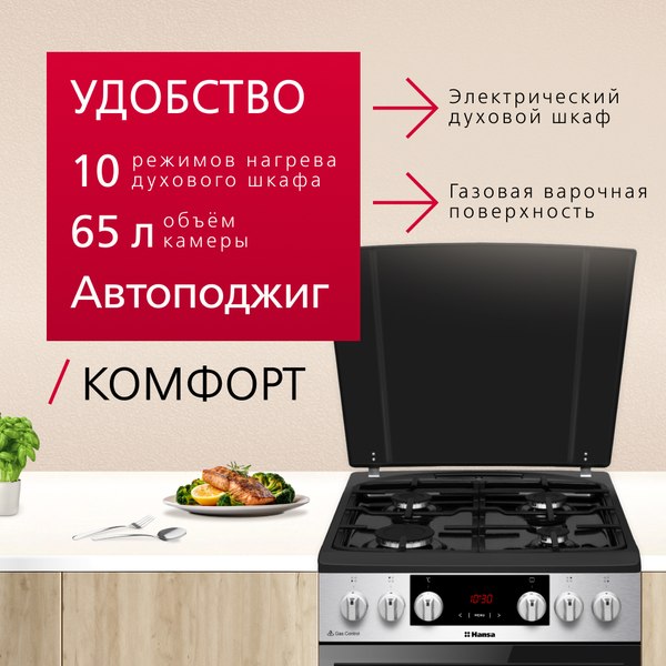 Плита газовая Hansa FCMX59323