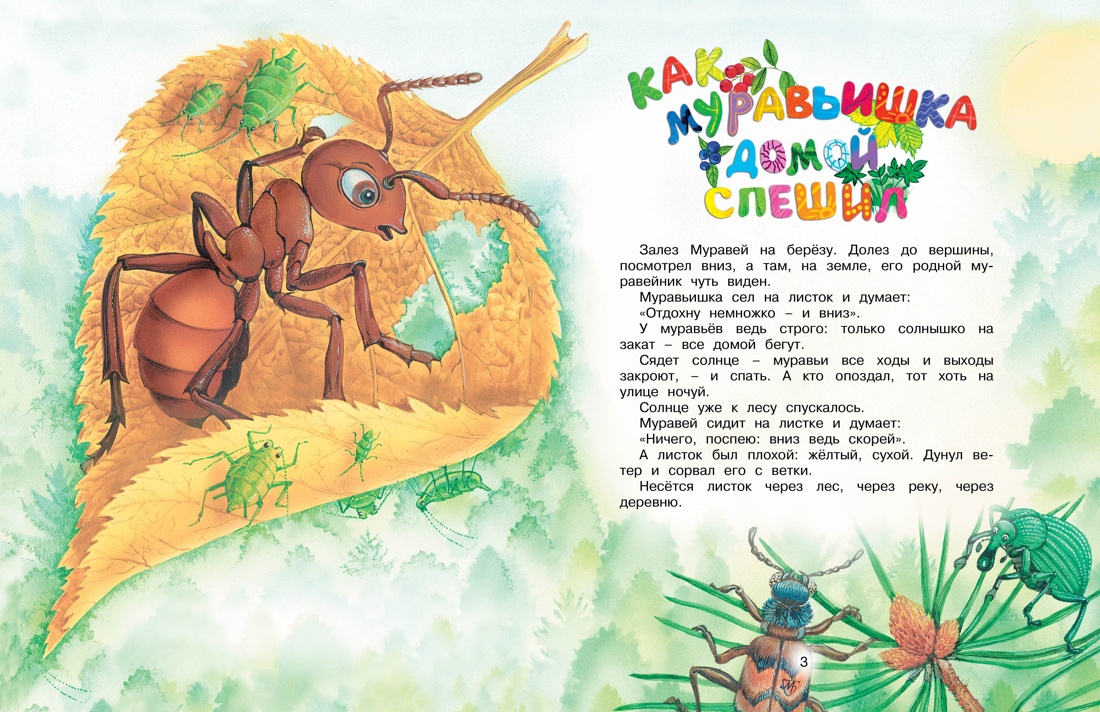 Художественная книга Махаон Как муравьишка домой спешил, твердая обложка (Бианки Виталий) — фото 3
