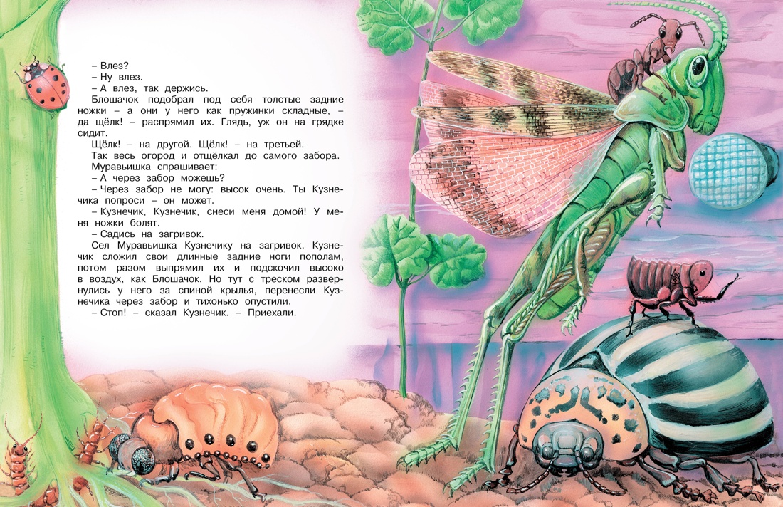 Художественная книга Махаон Как муравьишка домой спешил, твердая обложка (Бианки Виталий) — фото 5