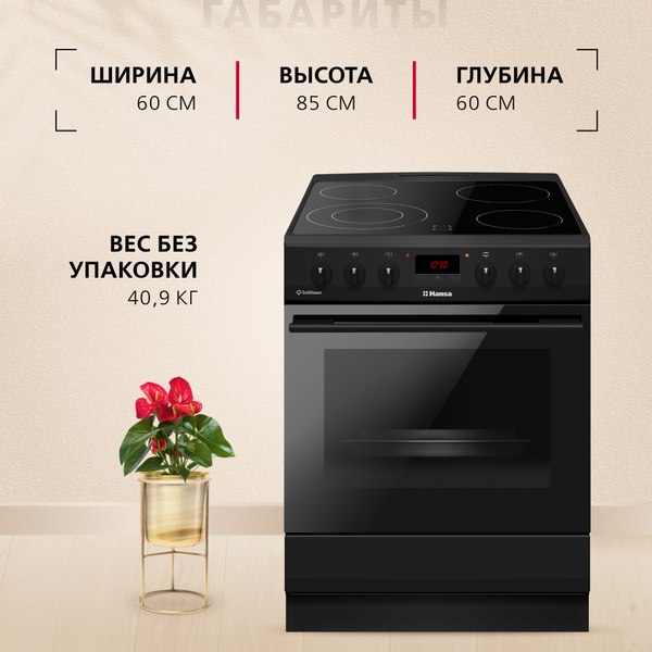 Плита электрическая Hansa FCCM69225H