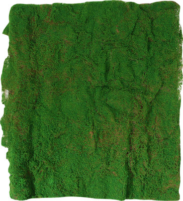 Искусственное растение GREENGO Мох 1x1м / 10481976 (зеленый) - 