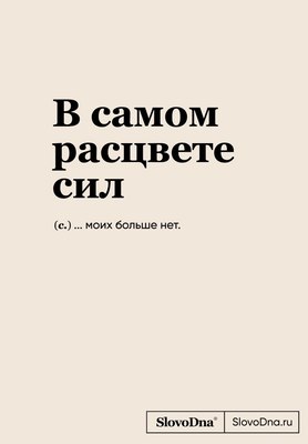 Записная книжка Эксмо SlovoDna. В самом расцвете сил / 9785041957834 - 