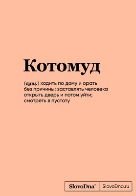 

Записная книжка, SlovoDna. Котомуд / 9785041957575