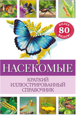 Энциклопедия Эксмо Насекомые. Краткий иллюстрированный справочник, твердая обложка (Офтринг Бэрбель) -