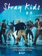 Книга Бомбора Stray Kids и я. Иллюстрированный фанбук с фотографиями группы (мягкая обложка) - 